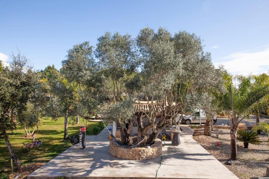 Casa Petit Paraiso Lagoa  Bagian luar foto